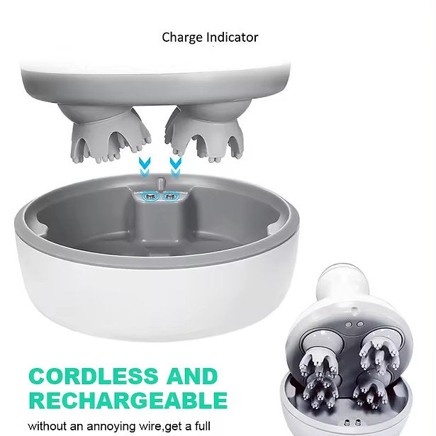 Head, Scalp and Body Massager